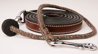 AQHA Modifies SHW355 Rule to Allow Use of Lip Cords For Halter Stallions, One Year and Older