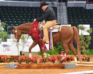 2015 USEF Equestrian of the Year Nominees