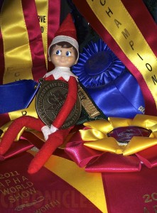 Award Guarding Elf- This helpful elf keeps an eye on your hard-earned horse show ribbons and prizes.