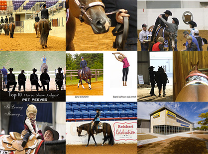 Top 10 EquineChronicle.com Stories For 2015