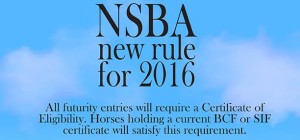 Questions About NSBA’s New Certificate of Eligibility Rule?