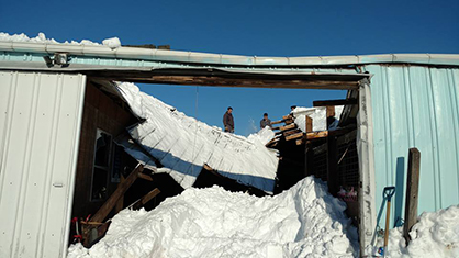 Winter Storm Jonas Wreaks Havoc on East Coast Horse Farms