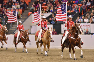 Canadian Cowgirls