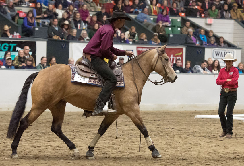 Ohio Equine Affaire Kicks Off 2016 Riding Season With New Features