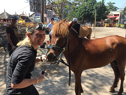 Aussie Vet Travels to Indonesia to Help Working Ponies