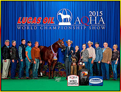Buy Breedings to Top Halter Stallions in Best In The West Futurity Stallion Service Auction