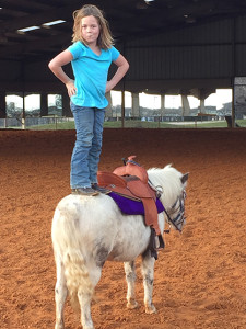 Addy and Pepper. Addy's ponies have to learn to tolerate all kinds of silly behavior to make sure they are safe for their new owners. 
