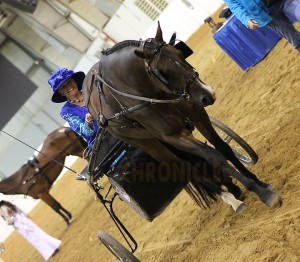 Sue and Shine at the 2015 Quarter Horse Congress.