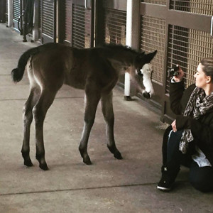 Baby Augusta