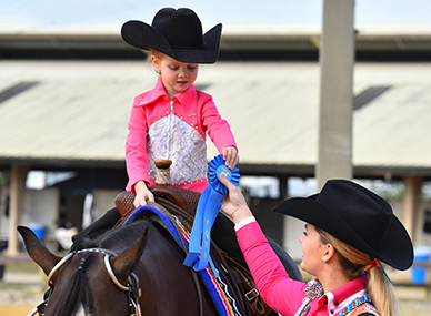 From Austria to Florida: A Whirlwind Month Spent Showing Horses in the US!