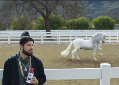 Animals Star in Super Bowl 50 Commercials- #1- “Gangsta Horse Whisperer”