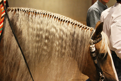 2016 Cactus Reining Classic Weekend Recap