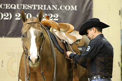 Stress Reduction Tips For Professional Horsemen