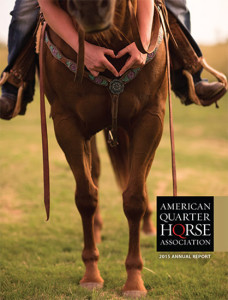 Image courtesy of AQHA.