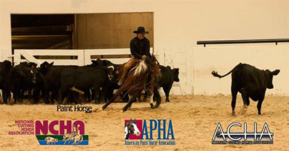 Qualify For APHA World Show at Select NCHA and ACHA Events