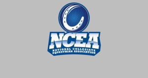 Logo courtesy of NCEA.