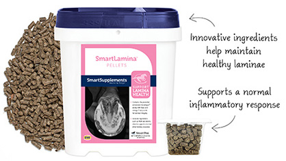 Lush, Spring Pastures Causing Concern? SmartLamina™ Pellets May be the Answer for Hoof Health