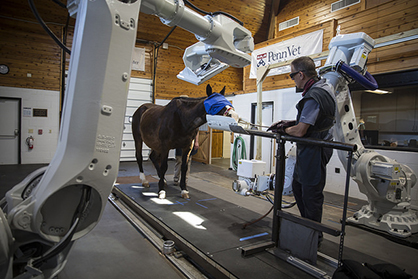 Revolutionary Robotic-Controlled Imaging For Standing and Moving Horses Unveiled!