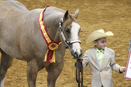 APHA Gearing Up For #GivingTuesday to Complete Youth World Show Scholarship Endowment