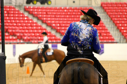 AQHA L1 Championship West Postponed Due to EHV Cases