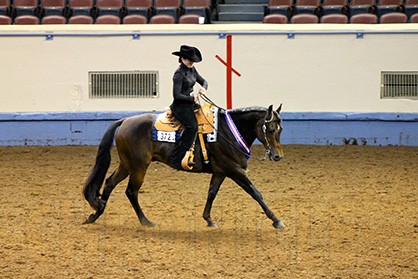 Joy Norris and A Certain Rockstar Win AQHA L1 Amateur Horsemanship Championship