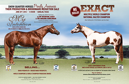 Snow Quarter Horses Announces Production and Broodmare Reduction Sale- June 25th *APHA Stallion EXACT Will Sell*