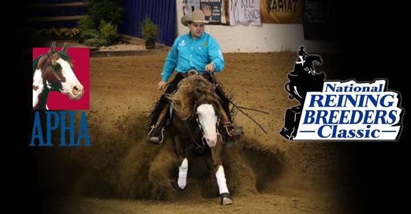 Several Paint Horses Rewarded at 2016 NRBC