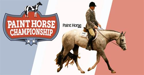 Great Lakes Paint Horse Championship Debuts in Zone 8