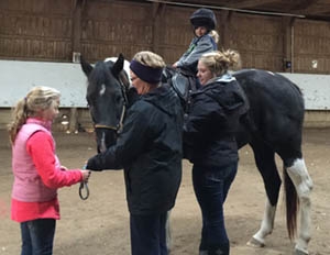 What a Kind Gesture! 3,200 Complimentary Vaccines Distributed to Horses in Need