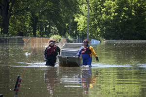 Memphis Flood. Image courtesy of American Humane Association.