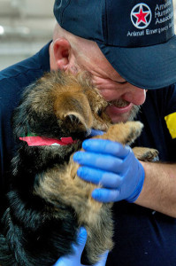 Moore, OK Tornado. Image courtesy of American Humane Association.