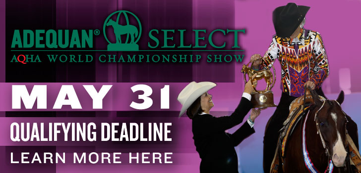 Qualify For 2016 AQHA Select World by May 31st