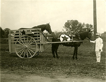 Celebrating 100 Years of Rescuing Animals From Disasters