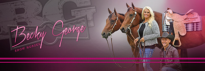 Equine Redesign: New Websites For BeckyGeorgeShowHorses.com and JillandMurrayShowHorses.com