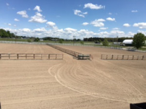 Freshly groomed warm up arena and two outdoor pens. 
