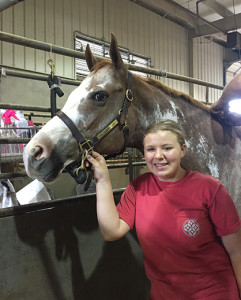 Lauren with her Halter horse