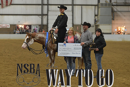 Andrews, Bixler, Perri, Umberger are Winners in Premier Paint Sires Classes at Buckeye Extravaganza