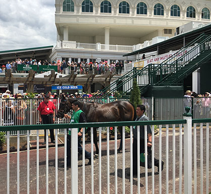 The Preakness Aftermath- A Sad Ordeal For Horse Lovers All Around- Death and Disappointment