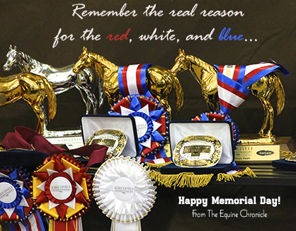 Happy Memorial Day Weekend! From The Equine Chronicle