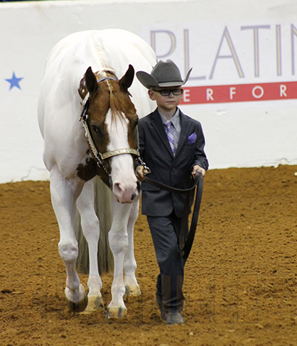 Pre-Entry Deadline For 2016 APHA Youth World Show is May 16th