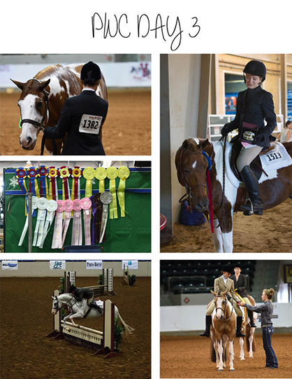 Results and Photos From Day 3 at 2016 Pinto World Show