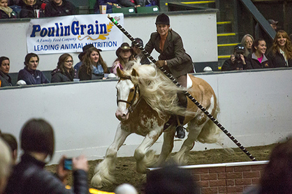 $5,500 at Stake During Equine Affaire’s Versatile Horse and Rider Competition