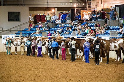 2017 AQHA Dates