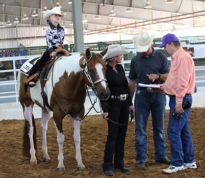 Day 10 Results From 2016 Pinto World Show