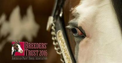 APHA Breeders Trust Deadline Extended to Sept 30th