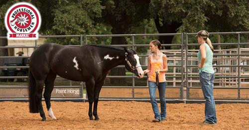 APHA Announces 19 New Markel APHA Professional Horsemen