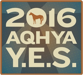 Meet Your 2016 AQHYA Director Candidates!