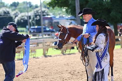 Results and Photos from 2016 Western Pleasure Super Sires Longe Line