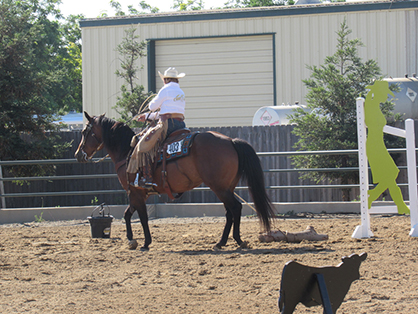 AQHA Soliciting Bids For Versatility Ranch Horse/Mounted Shooting World Championships and Ranching Heritage Challenge Finals