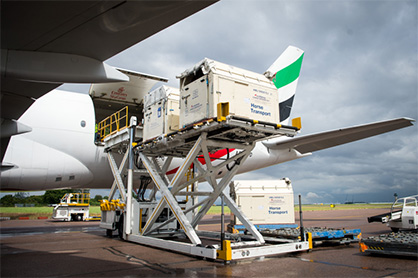 First Set of Horses Head to Brazil For 2016 Rio Olympics!
